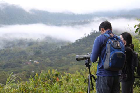 Tour de Aves 15 Días